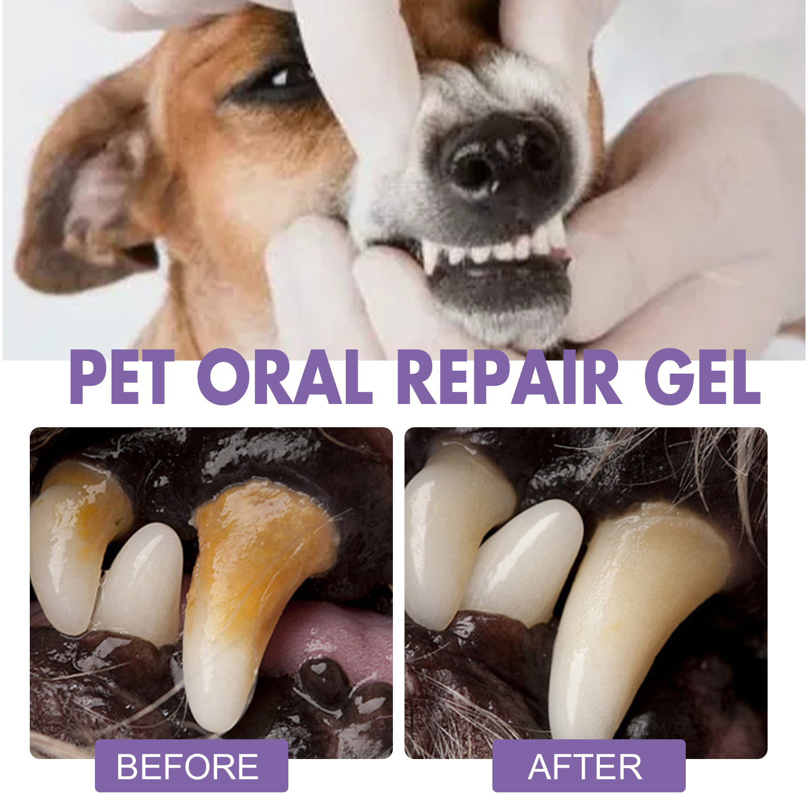 Pet Oral Repair Gel Puppy Tart - огляд і ціна Teeth Whitening With Hydrogen Peroxide
